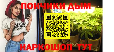 крисы Краснознаменск