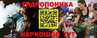 крисы Краснознаменск