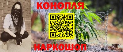 крисы Краснознаменск
