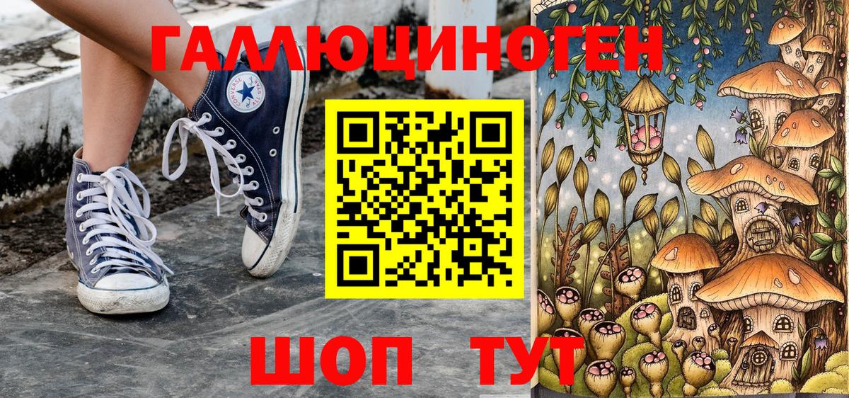 Псилоцибиновые грибы Psilocybe Коркино